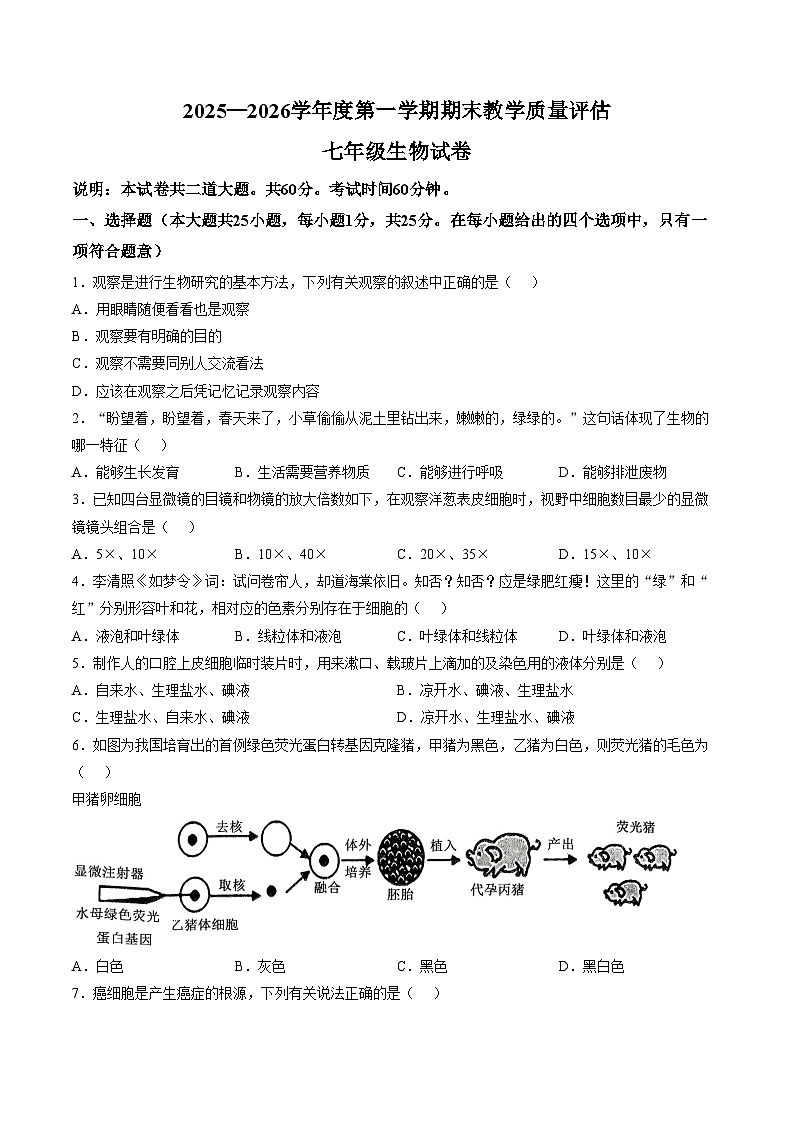 2025_2026学年第一学期期末教学质量评估七年级生物试卷（文字版，含答案）第1页