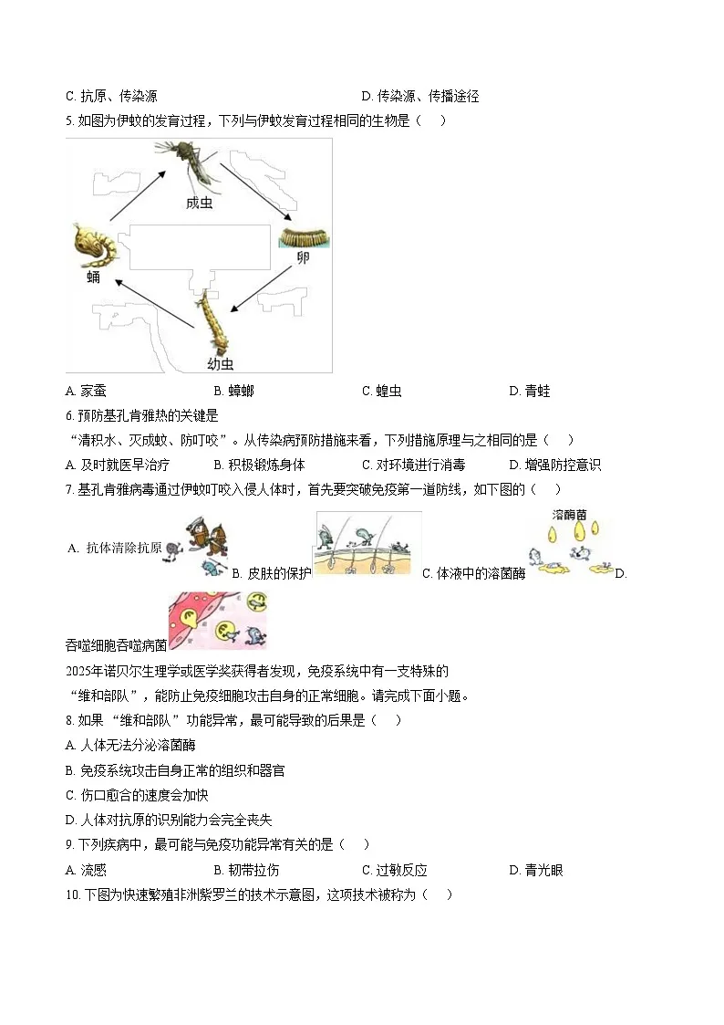 广东省梅州市梅县区2026年八年级上学期期末生物学试题（文字版，含答案）第2页