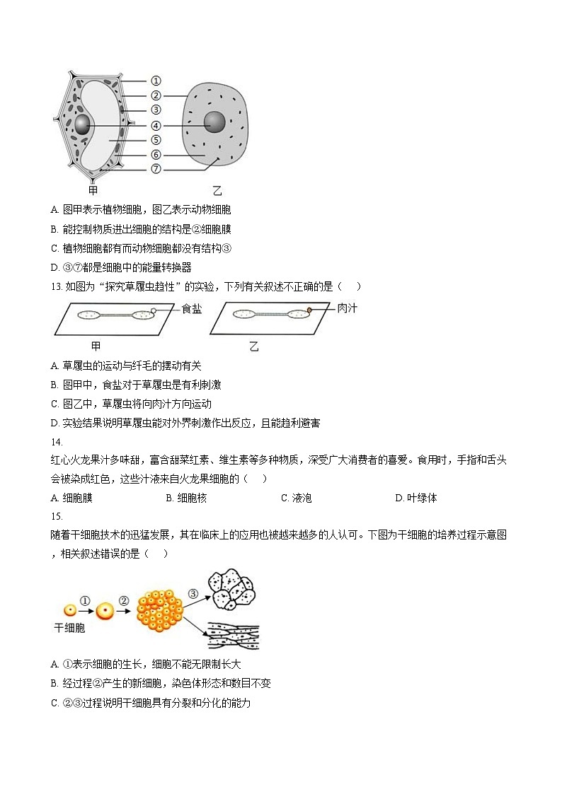 广东省梅州市梅县区2025_2026学年七年级上学期期末生物学试题（文字版，含答案）第3页