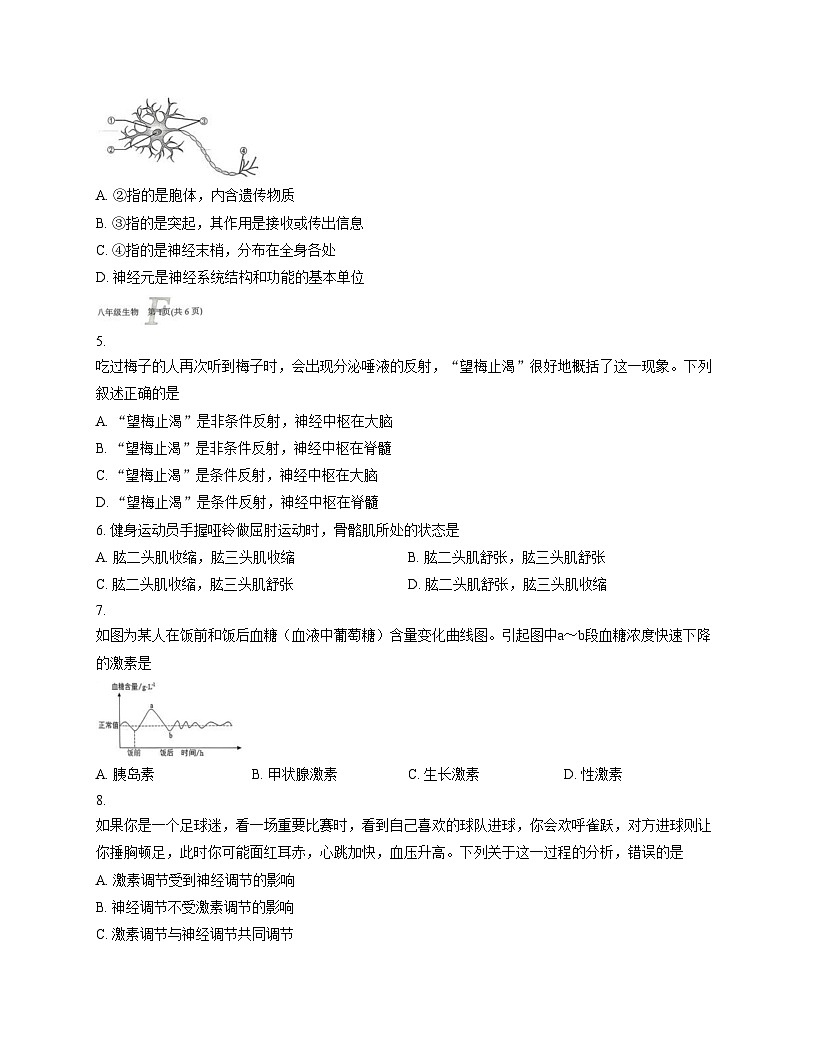 河南省南阳市方城县2025_2026学年八年级上学期期中考试生物试题（文字版，含答案）第2页