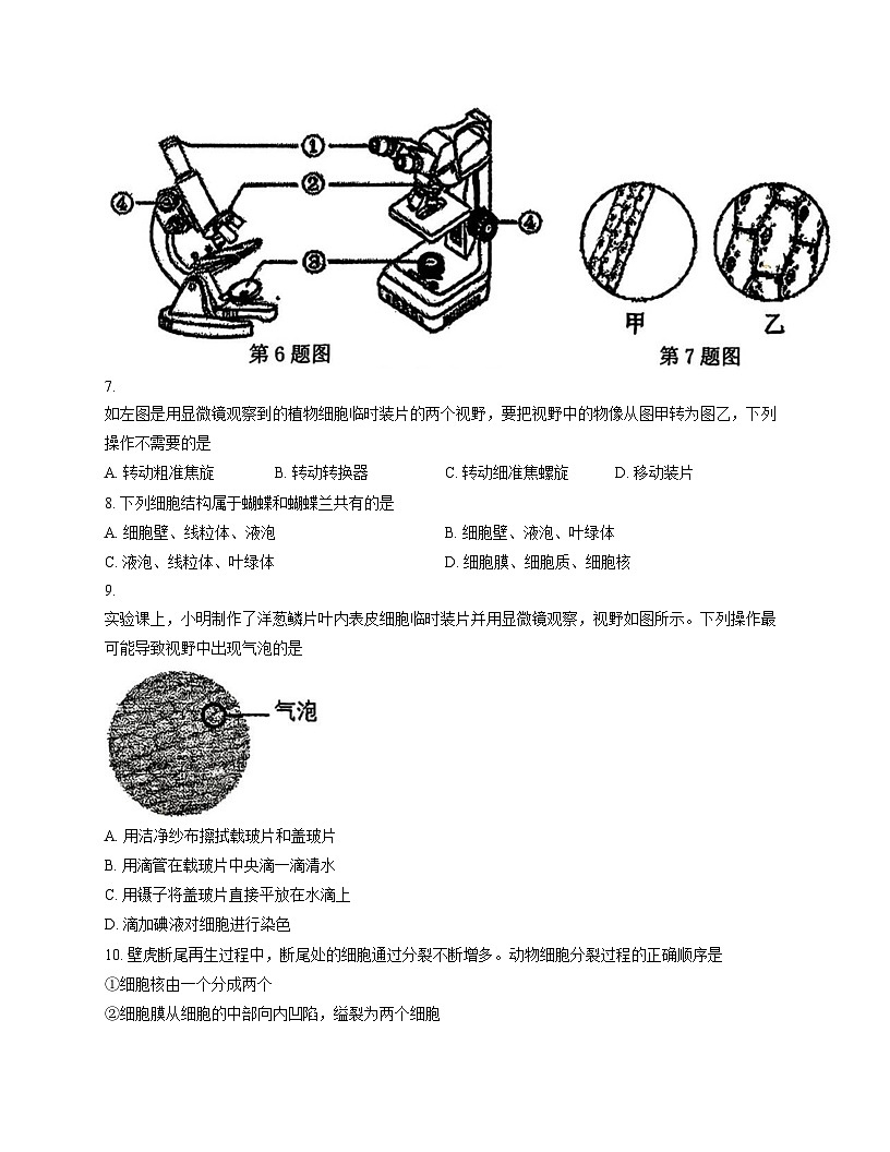 吉林省长春市博硕学校2025_2026学年七年级上学期期中考试生物试题（文字版，含答案）第2页