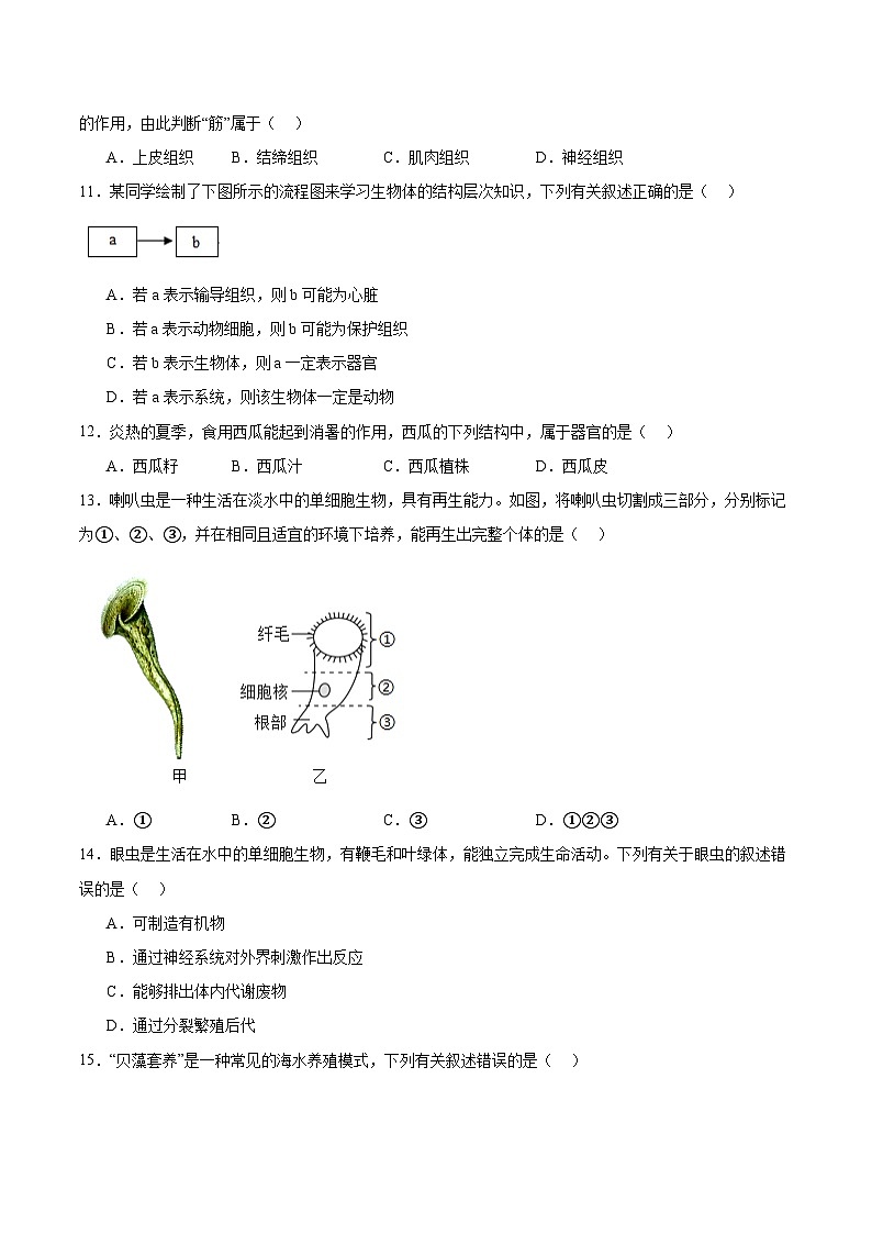 广东省广州市增城区2025-2026学年七年级上学期1月期末考试生物试卷（含答案）第3页
