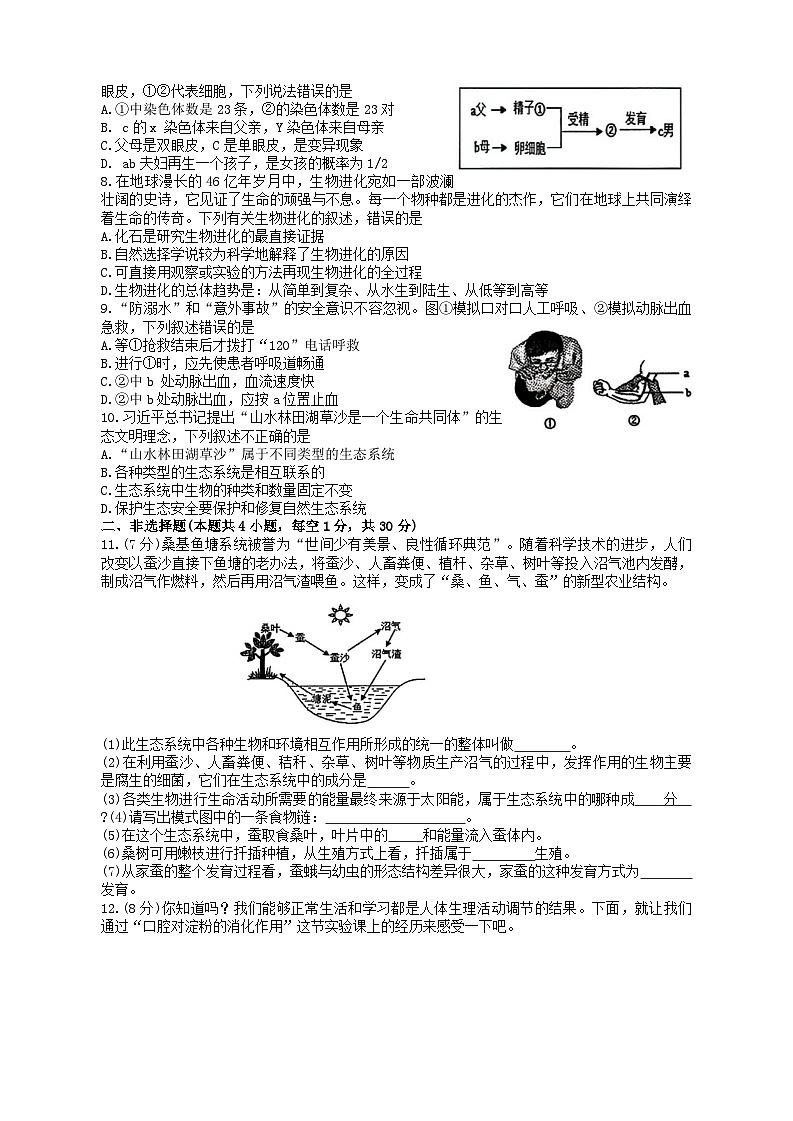 湖北省襄阳市谷城县石花镇2025-2026学年八年级上学期期末考试生物试题（无答案）第2页