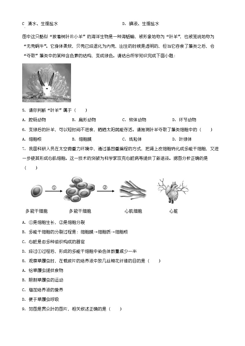 山西省晋城市泽州县2025-2026学年七年级上学期期末生物学试题（含解析）第2页