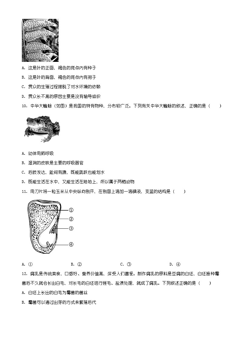 山西省晋城市泽州县2025-2026学年七年级上学期期末生物学试题（含解析）第3页