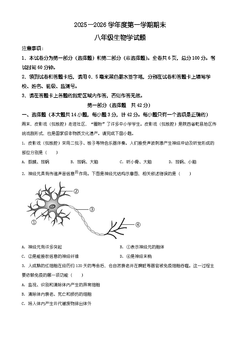 陕西省咸阳市秦都区2025-2026学年八年级上学期期末生物学试题（原卷+解析）第1页