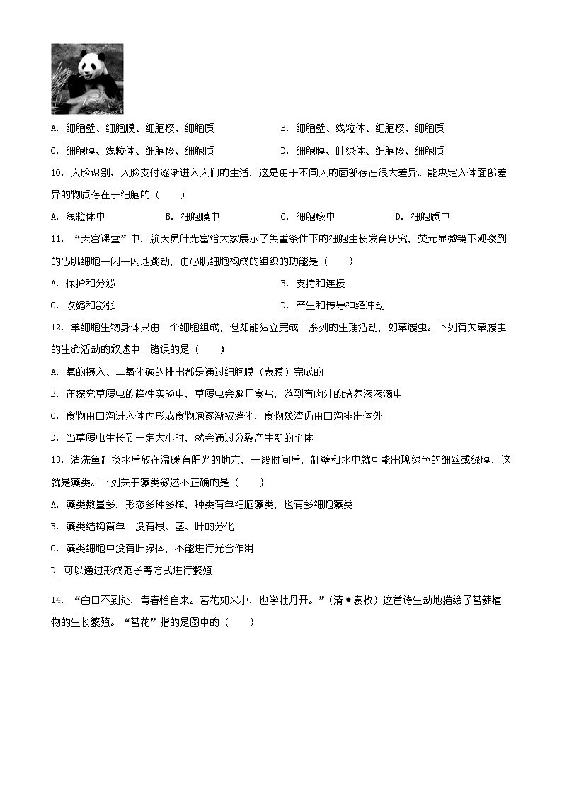 河北省石家庄市辛集市2025-2026学年七年级上学期期末生物学试题（原卷+解析）第3页