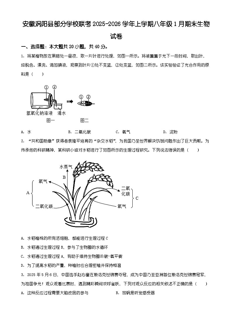 安徽省亳州市涡阳县2025-2026学年八年级上学期期末生物学试题（原卷+解析）第1页