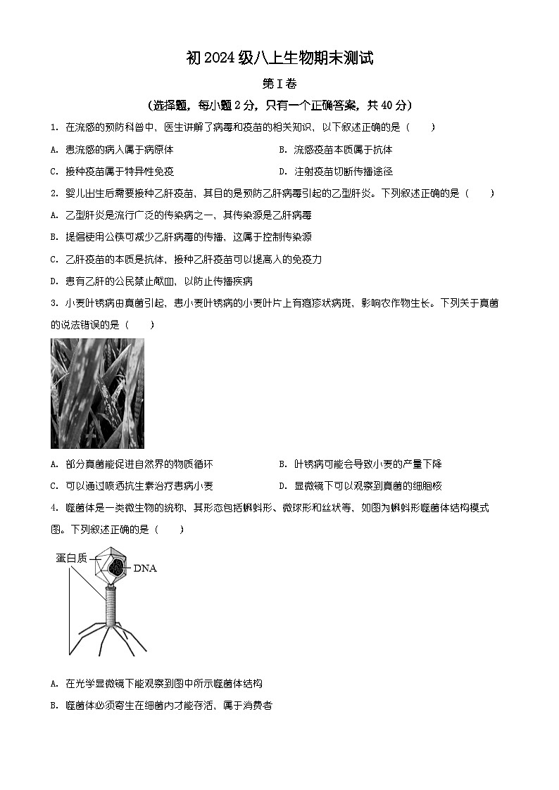 四川省成都市邛崃市2025-2026学年八年级上学期期末生物学试题（原卷+解析）第1页