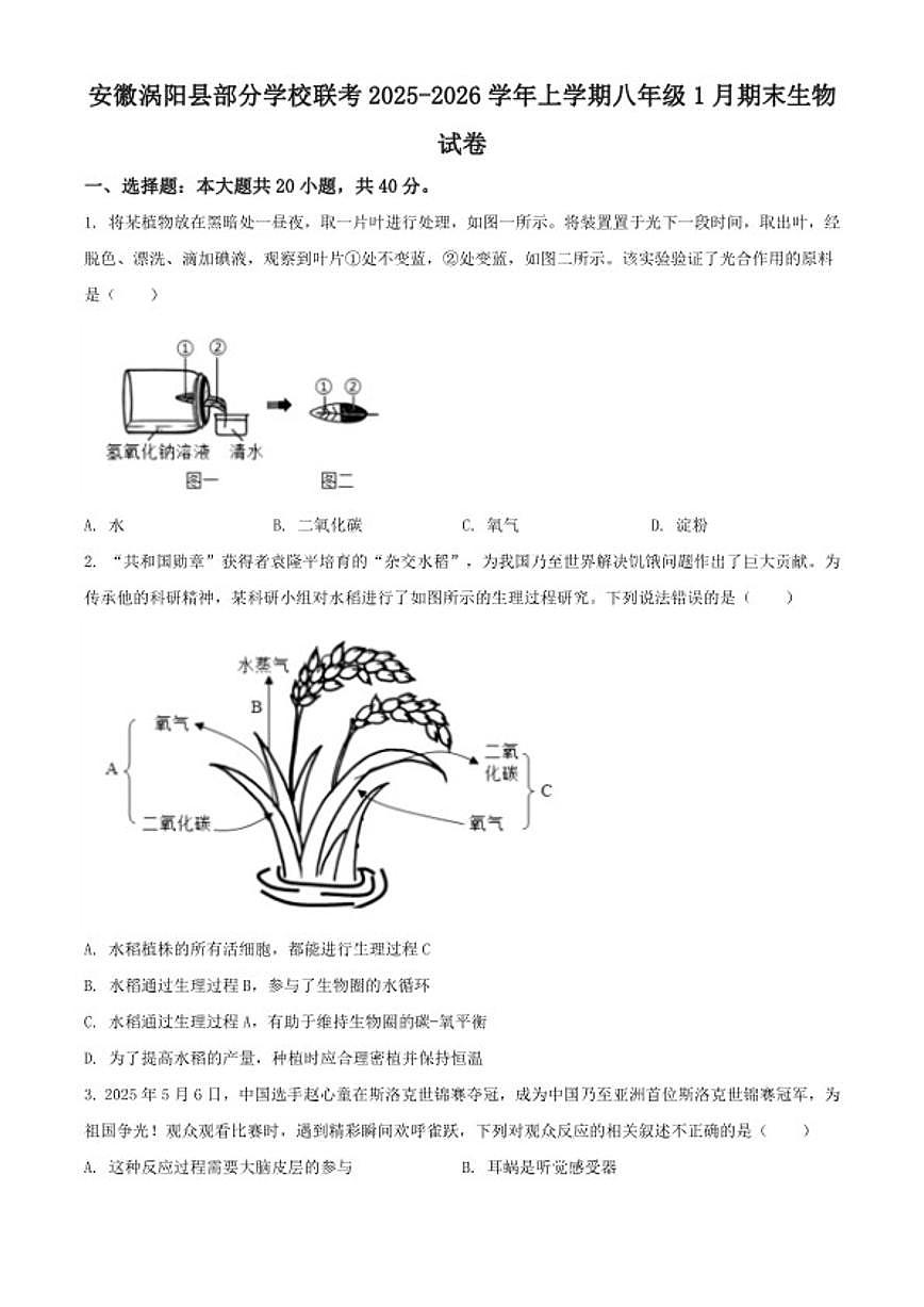 2025-2026学年安徽省亳州市涡阳县八年级上学期期末生物学试题（含解析）第1页