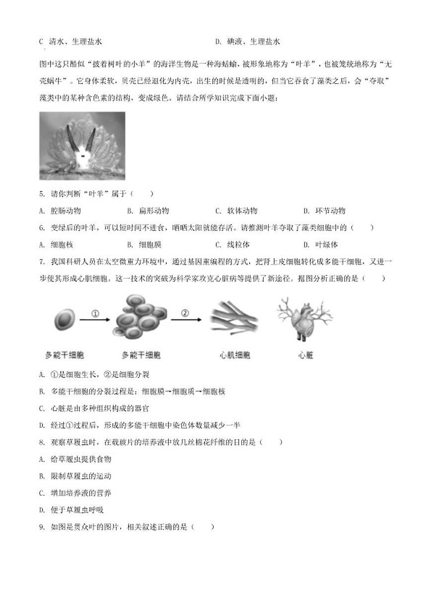 2025-2026学年山西省晋城市泽州县七年级上学期期末生物学试题（含解析）第2页