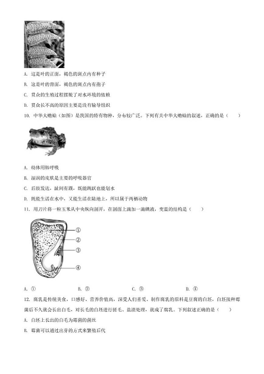 2025-2026学年山西省晋城市泽州县七年级上学期期末生物学试题（含解析）第3页