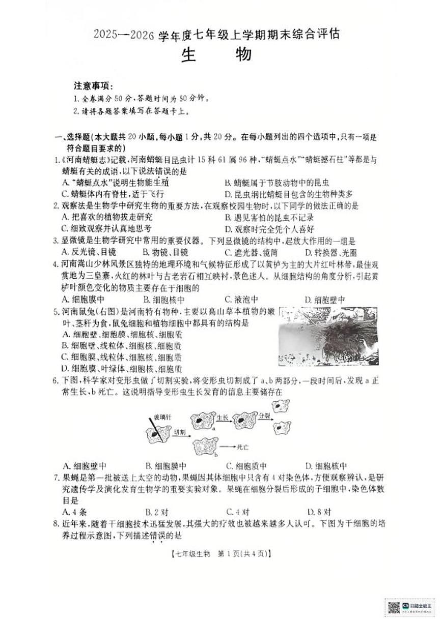 2025-2026学年河南商丘市永城市度七年级上学期期末综合评估生物试卷（含答案）第1页