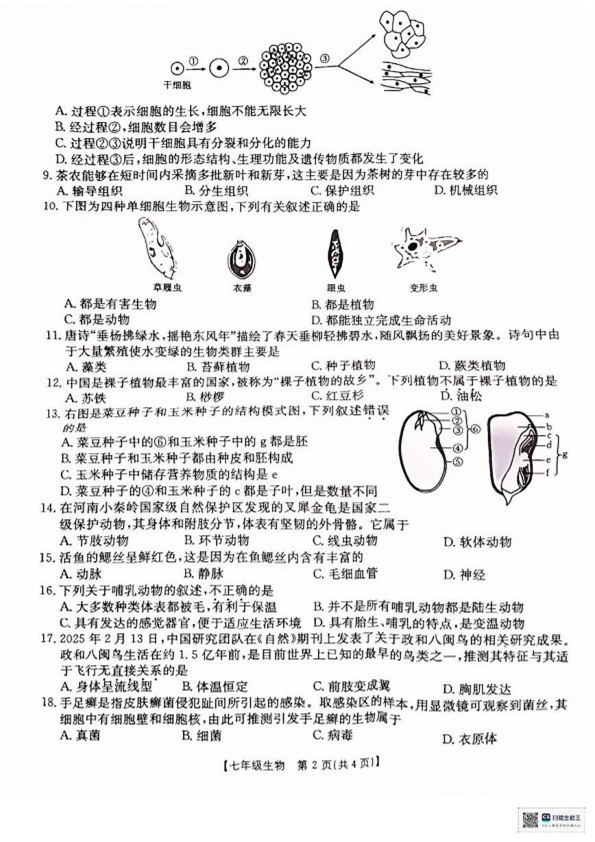 2025-2026学年河南商丘市永城市度七年级上学期期末综合评估生物试卷（含答案）第2页