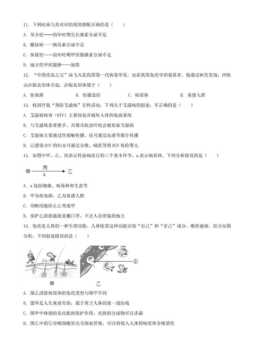 2025-2026学年四川省泸州市龙马潭区八年级上学期期末生物学试题（含解析）第3页