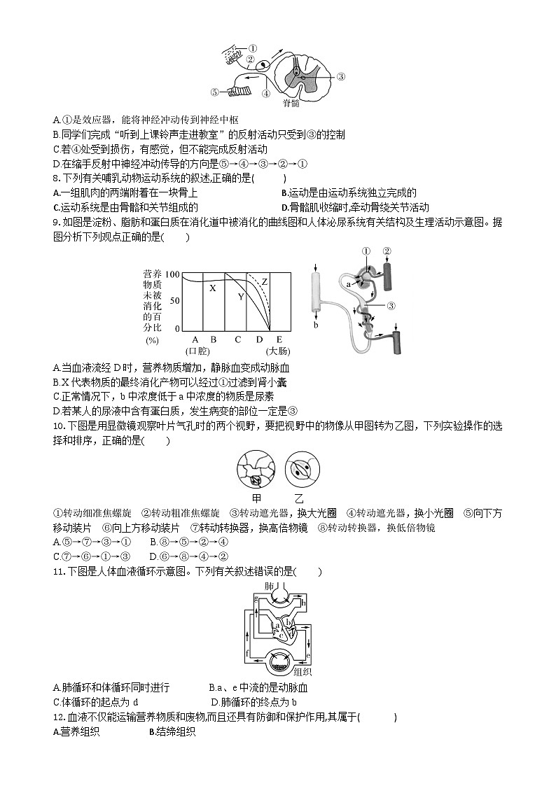 2024年广东省初中生物学业水平模拟试卷（五）-A4第2页