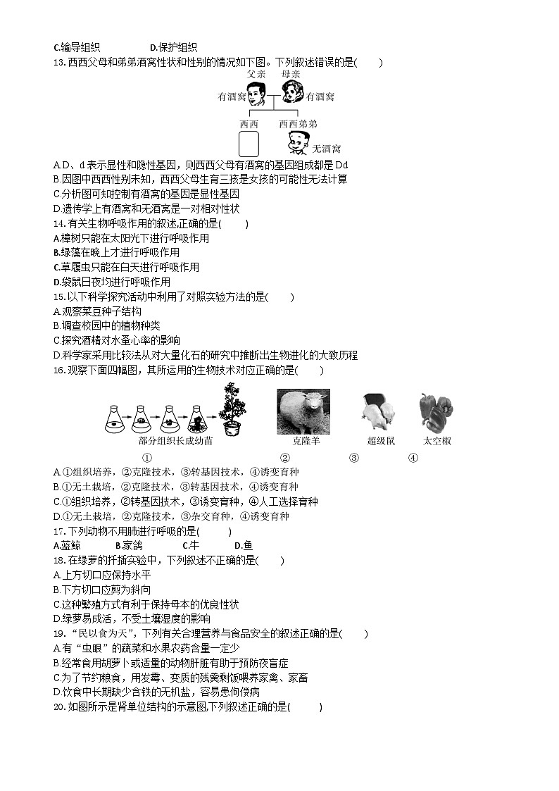 2024年广东省初中生物学业水平模拟试卷（五）-A4第3页