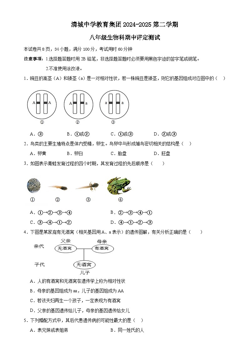 广东省清远市清城区清城中学教育集团八年级下学期4月期中考试生物试题-A4第1页
