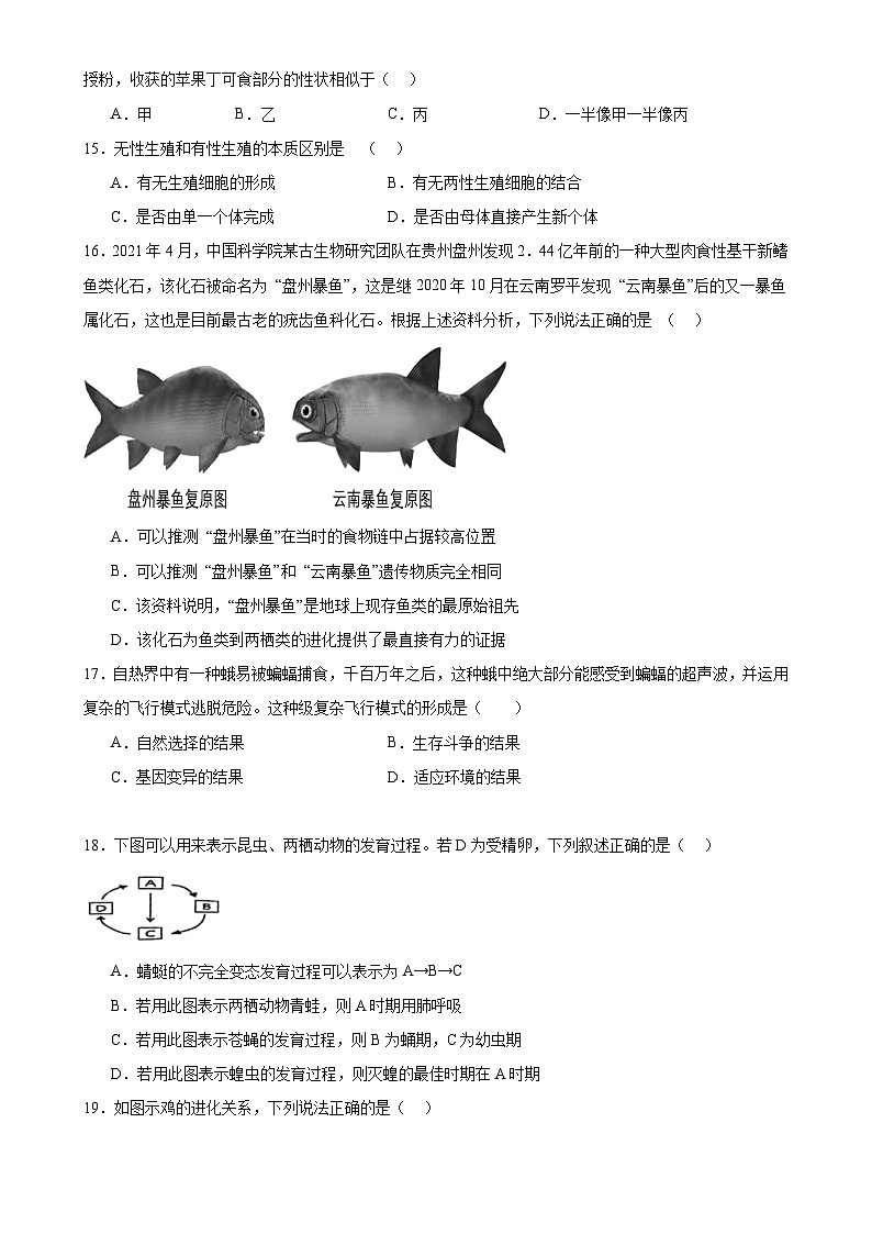 广东省清远市清城区清城中学教育集团八年级下学期4月期中考试生物试题-A4第3页