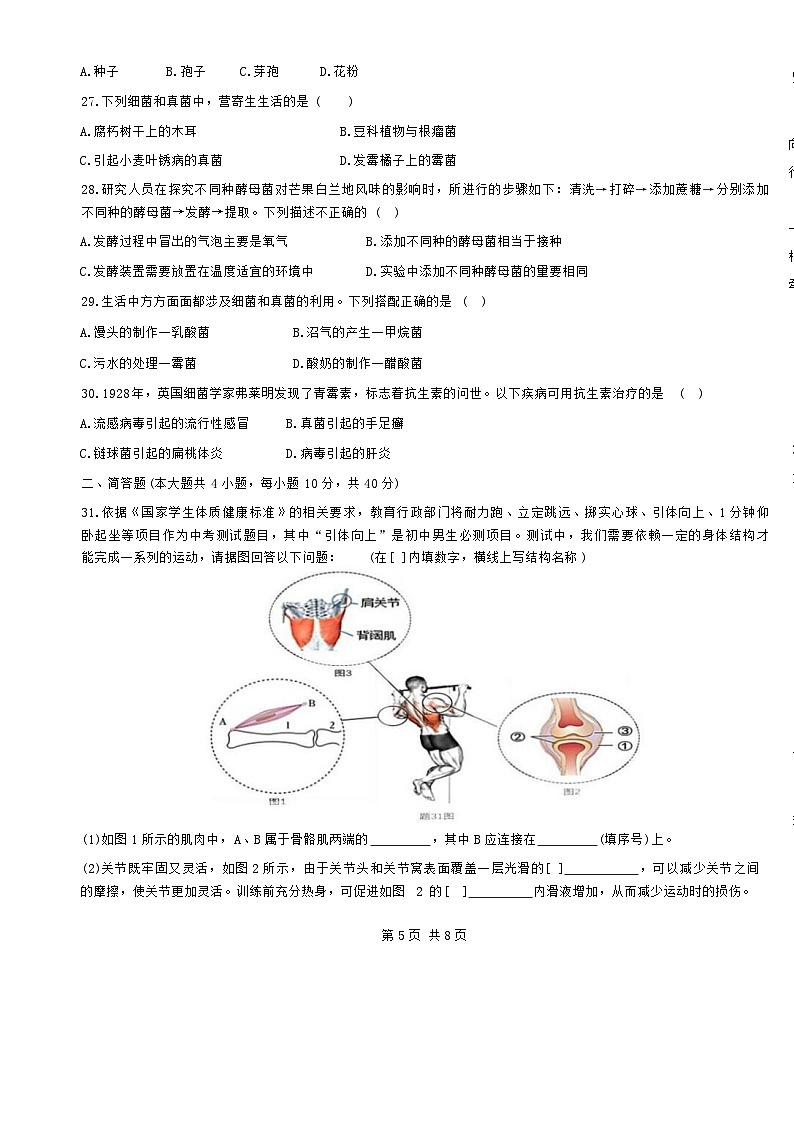 广东省东莞市八年级上学期期中考试生物试卷-A4第3页