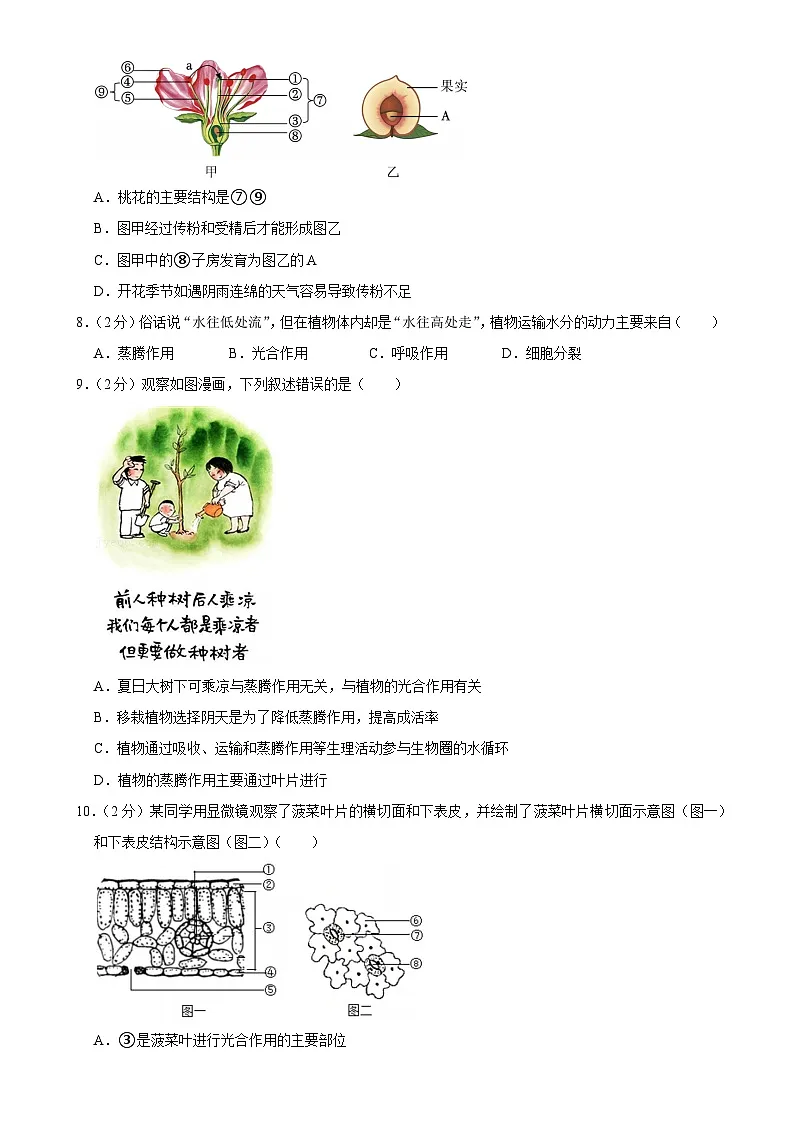 广东省深圳市盐田外国语学校七年级下学期期中生物试卷-A4第3页