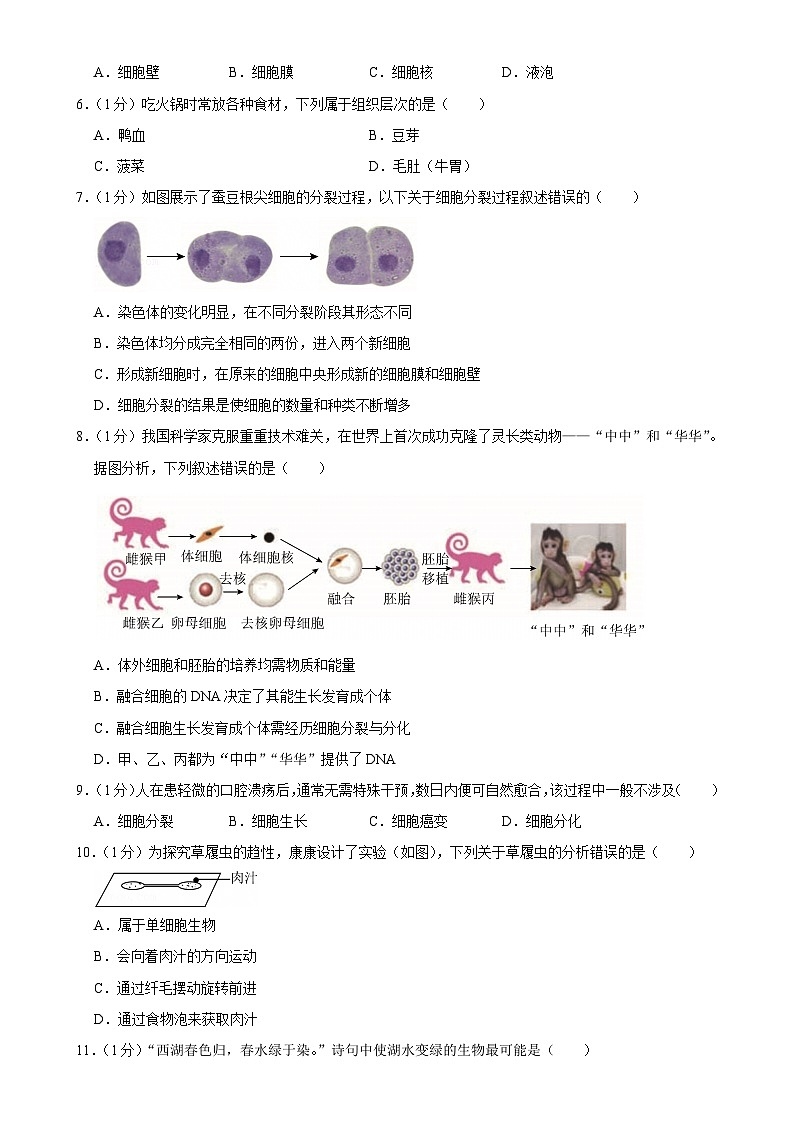 广东省深圳市南山区七年级上学期期末生物试卷-A4第2页