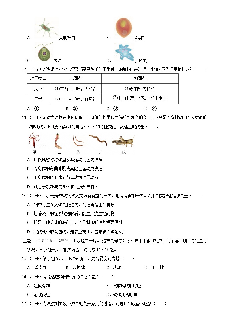 广东省深圳市南山区七年级上学期期末生物试卷-A4第3页