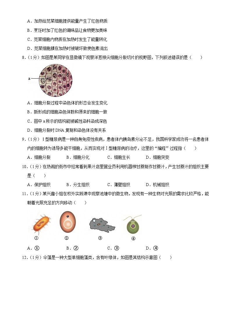 广东省深圳市盐田外国语学校七年级上学期期末生物试卷-A4第2页