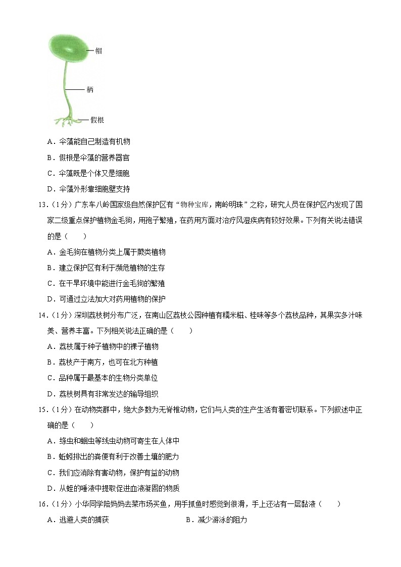广东省深圳市盐田外国语学校七年级上学期期末生物试卷-A4第3页