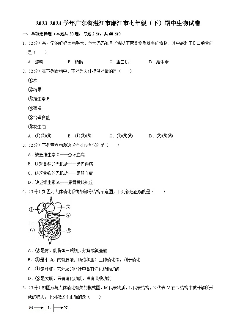 广东省湛江市廉江市七年级下学期期中生物试卷-A4第1页