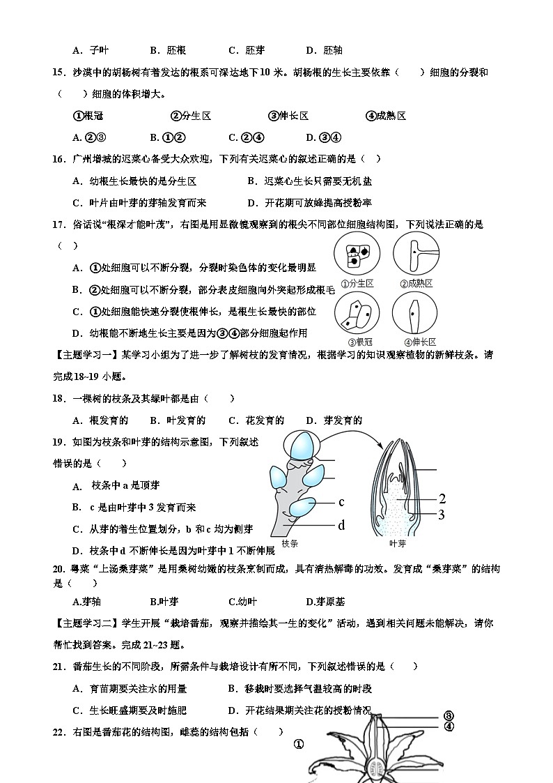 广东省封开县广信中学七年级下学期期中考试生物试题-A4第3页