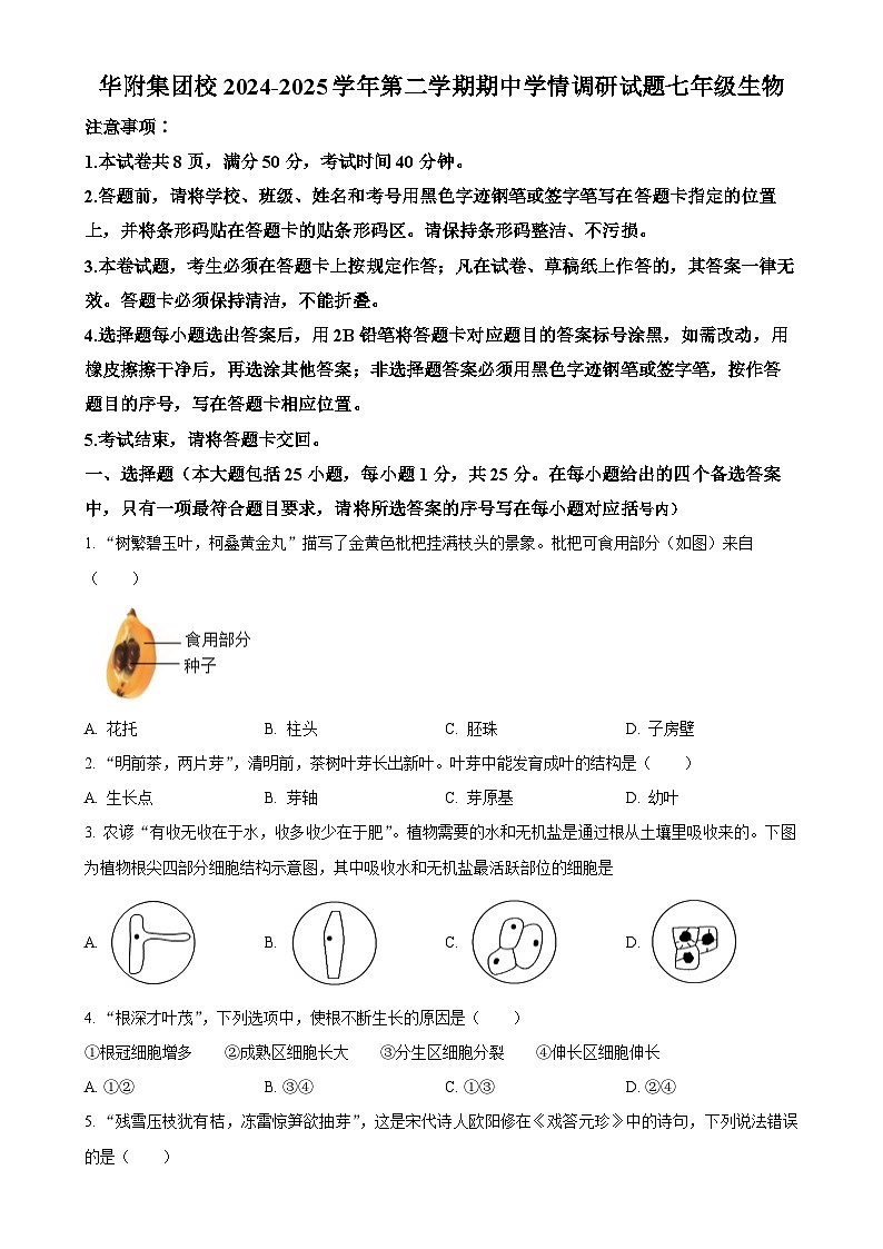 广东省深圳华中师大附中集团七年级下学期期中生物试题-A4第1页