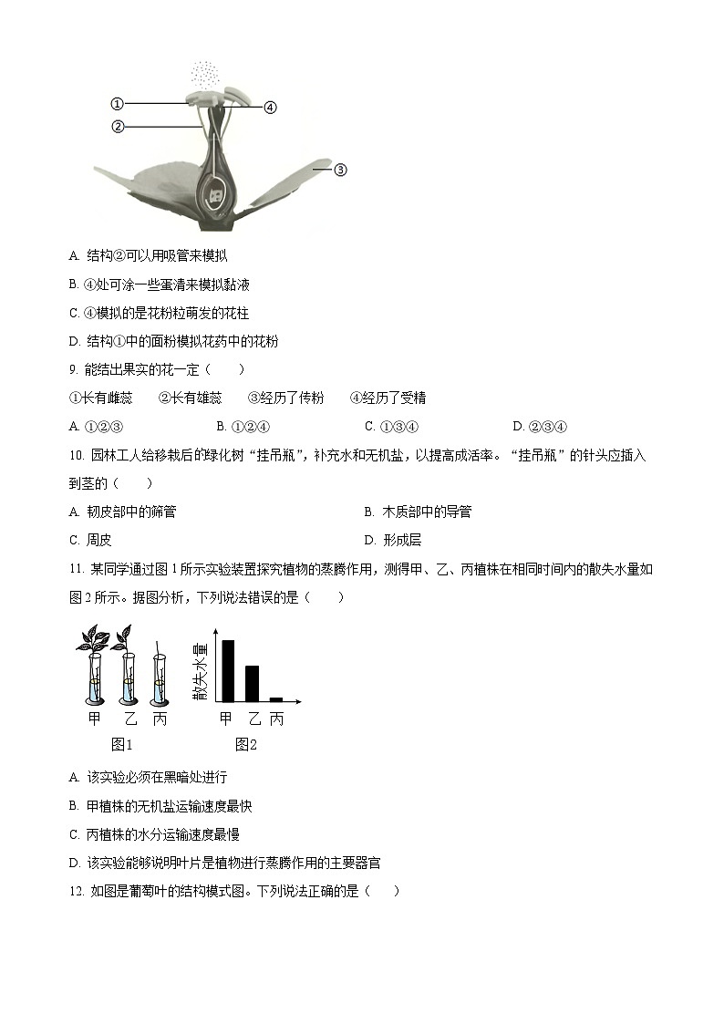 广东省深圳华中师大附中集团七年级下学期期中生物试题-A4第3页
