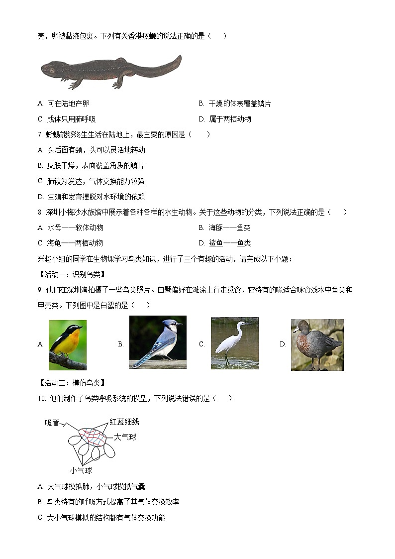 广东省深圳市福田区八年级上学期期末生物试题-A4第2页