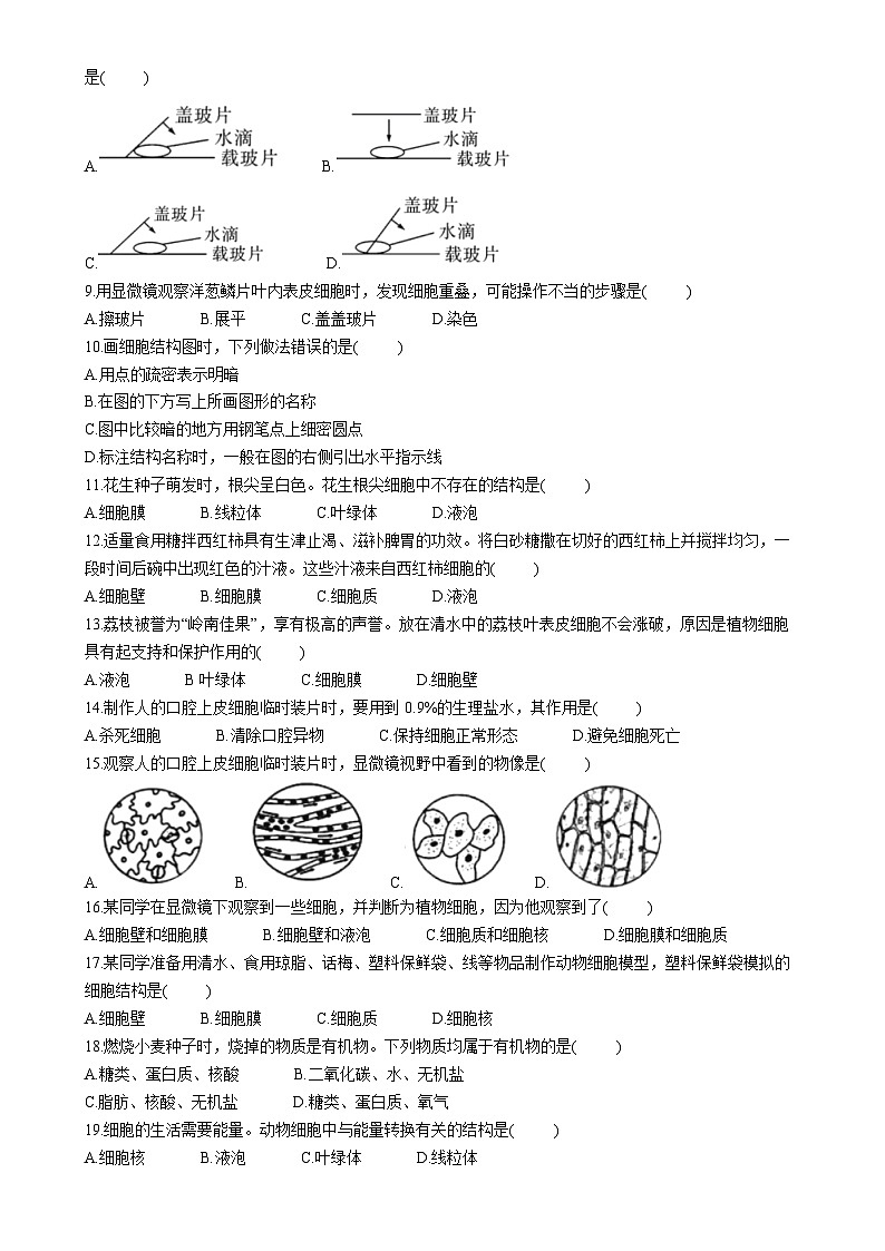 广东省河源市紫金县七年级上学期期中生物试题-A4第2页