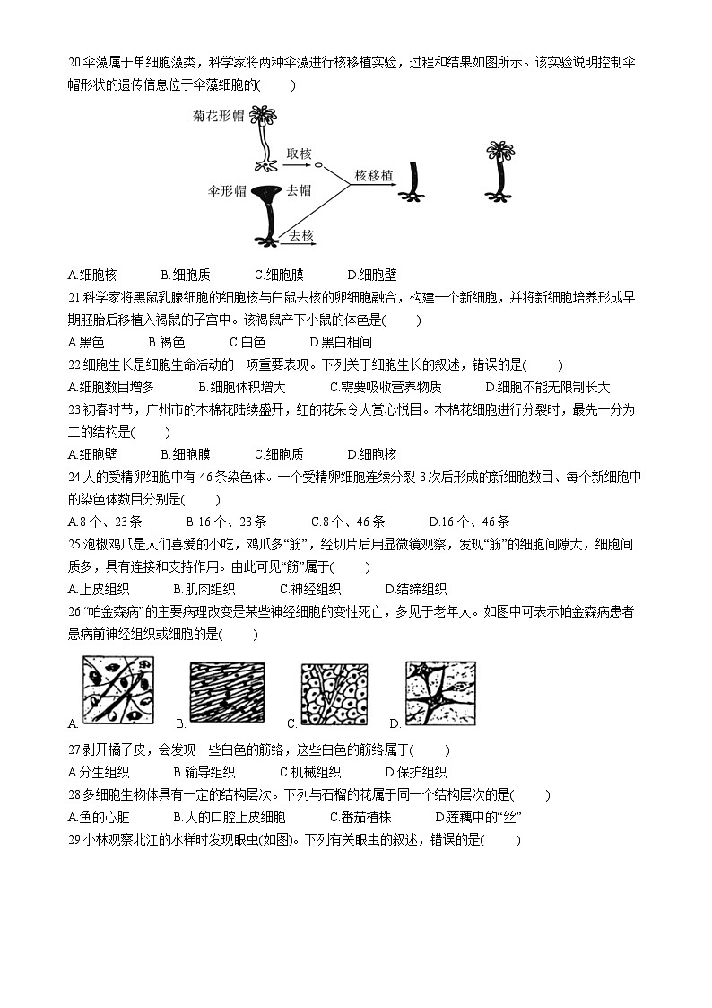 广东省河源市紫金县七年级上学期期中生物试题-A4第3页