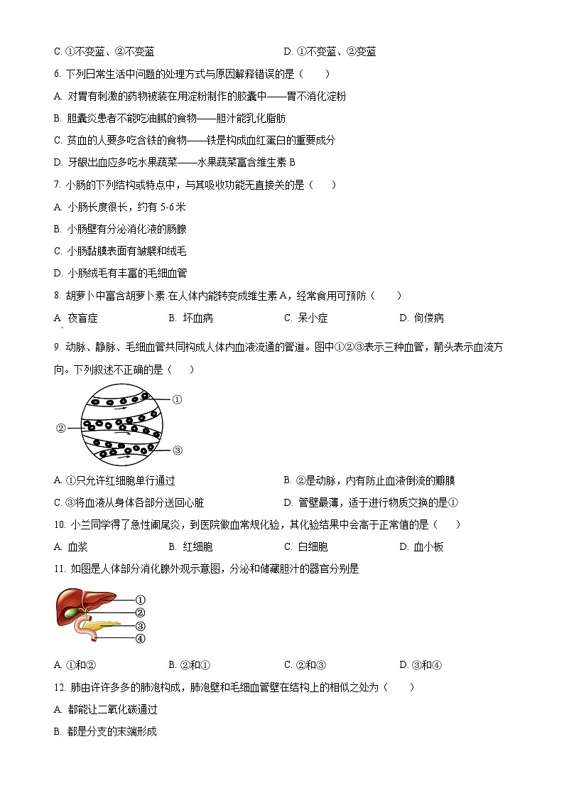 广东省清远市英德市七年级下学期期中生物试题-A4第2页