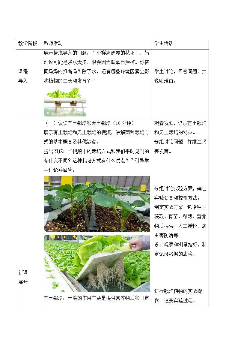 3.2.5综合实践栽培一种植物 教案-2025--2026学年 七年级生物·下册（人教版）第2页