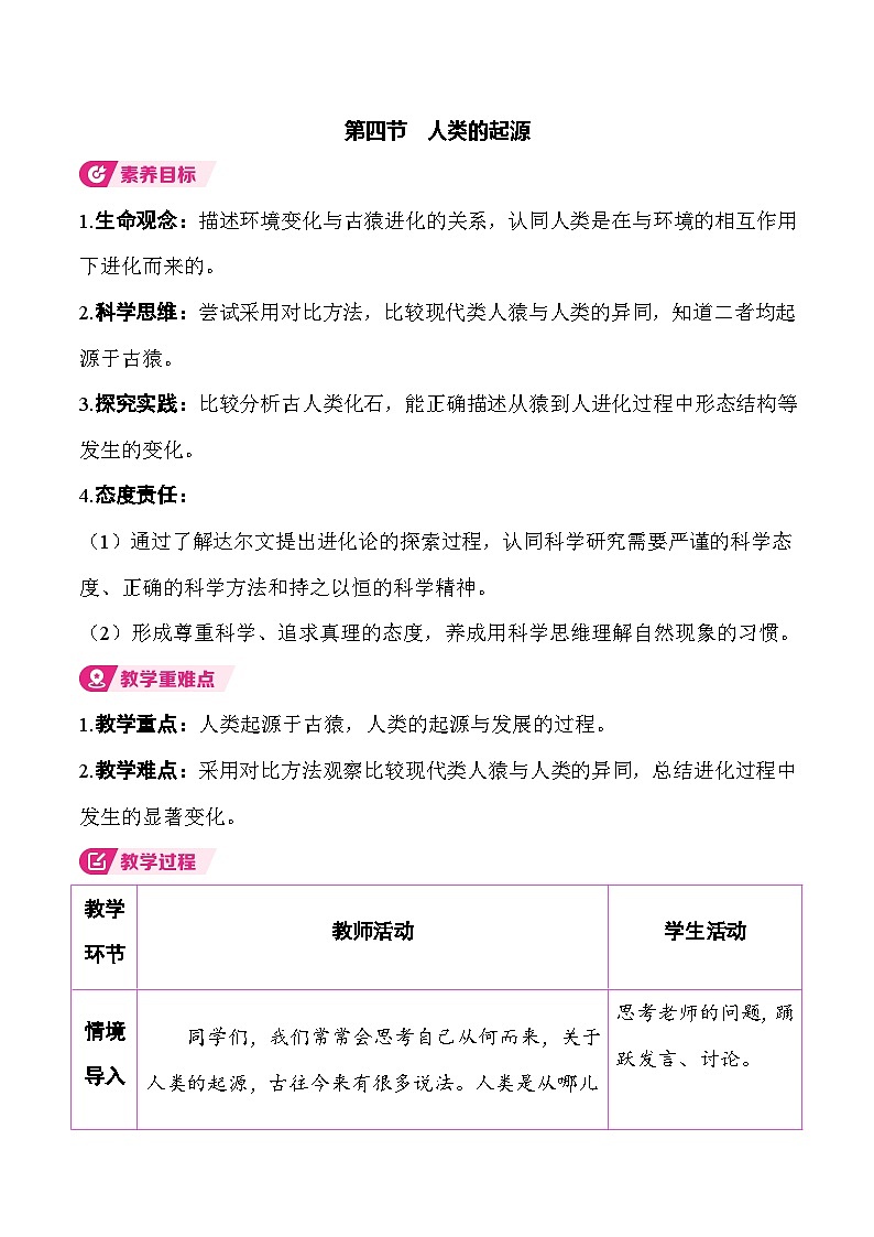 6.3.4 人类的起源 （表格式教案）2025-2026学年人教版（2024）生物八年级下册第1页