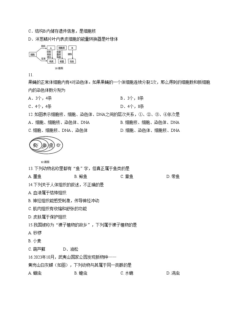 吉林省长春市榆树市慧望初级中学2025_2026学年七年级上学期第三次月考生物试题(文字版含答案)第3页