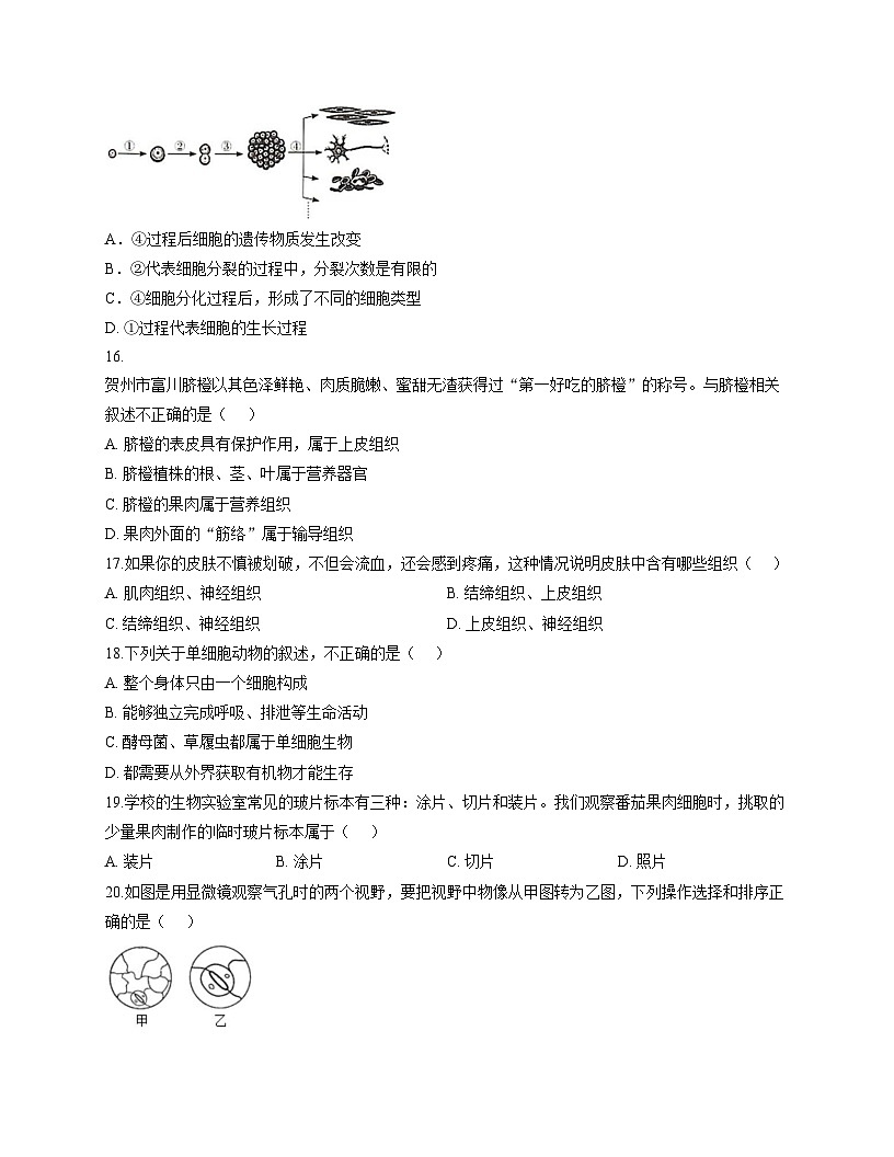 青海省西宁市第二中学2025_2026学年七年级上学期期中生物试卷（文字版，含答案）第3页