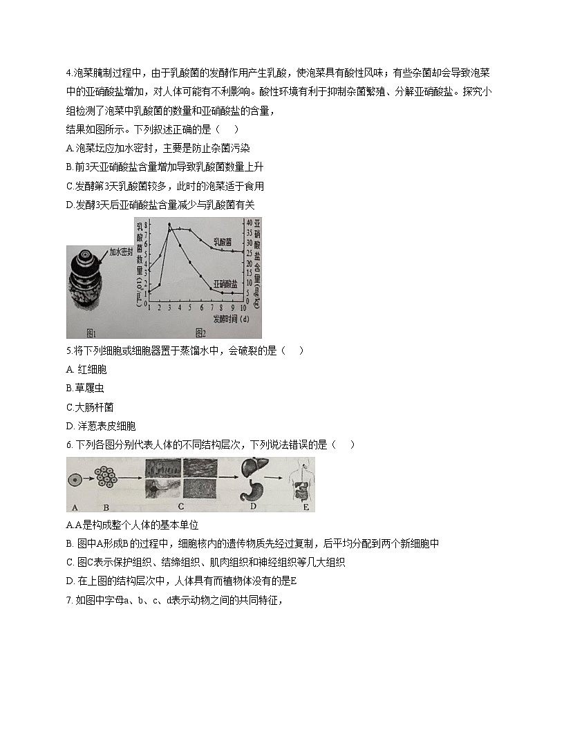山东省日照市东港区北京路中学2025_2026学年七年级上学期期中考试生物试卷（文字版，含答案）第2页