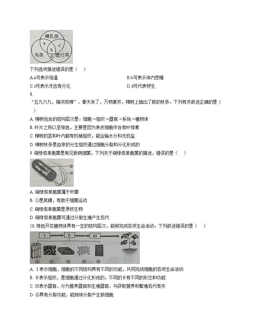 山东省日照市东港区北京路中学2025_2026学年七年级上学期期中考试生物试卷（文字版，含答案）第3页