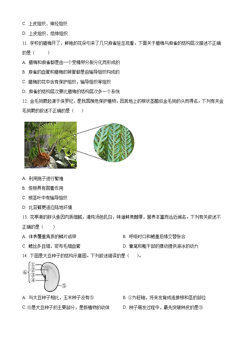 安徽省安庆市太湖县2025-2026学年七年级上学期期末生物学试题（原卷+解析）第3页