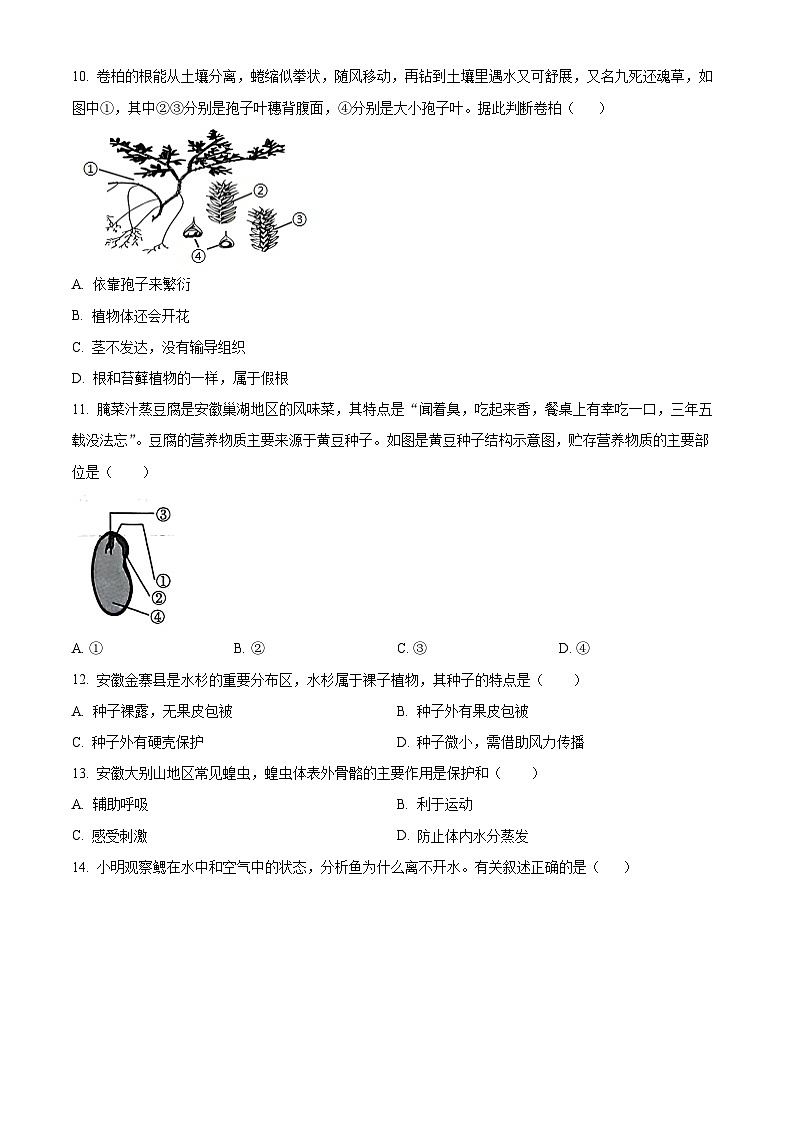 安徽省蚌埠市蚌山区2025-2026学年七年级上学期期末生物学试题（原卷+解析）第3页