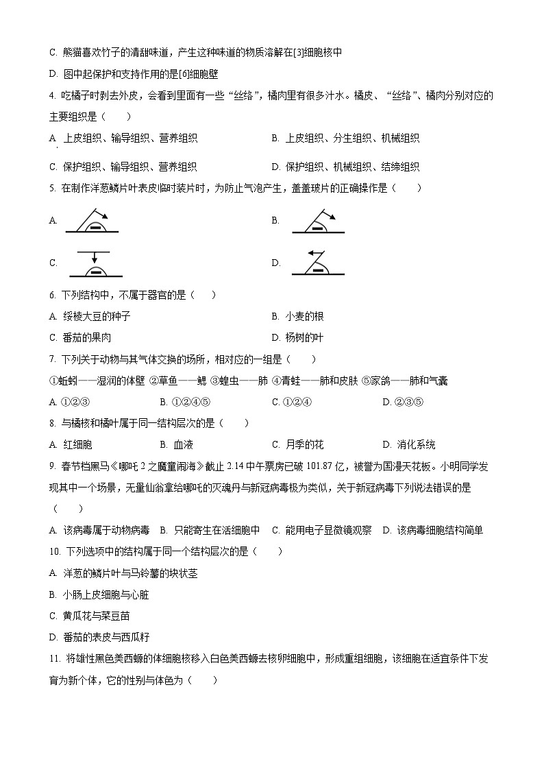 福建省莆田市秀屿区2025-2026学年七年级上学期期末生物学试题（原卷+解析）第2页