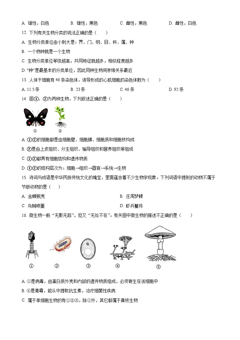 福建省莆田市秀屿区2025-2026学年七年级上学期期末生物学试题（原卷+解析）第3页