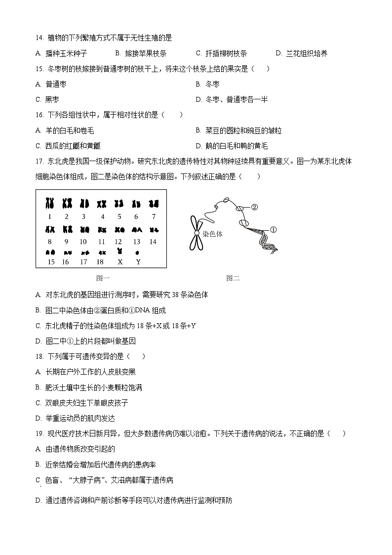 河南省洛阳市洛宁县2025-2026学年八年级上学期期末生物学试题（原卷+解析）第3页
