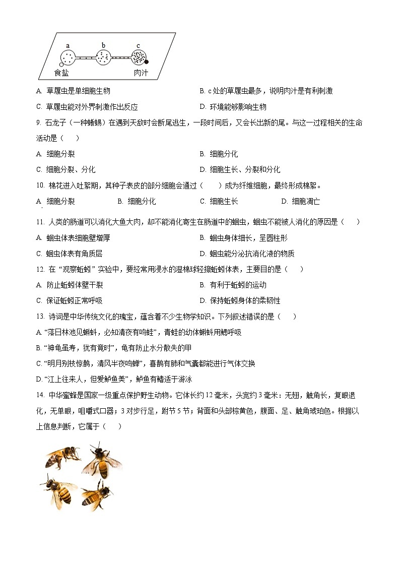 山东省济宁市泗水县2025-2026学年七年级上学期期末生物学试题（原卷+解析）第3页