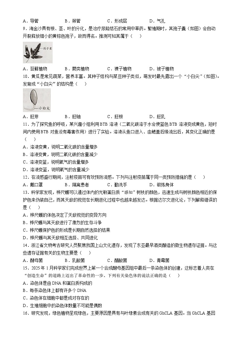 2025年广东省中考二模生物试题-A4第2页